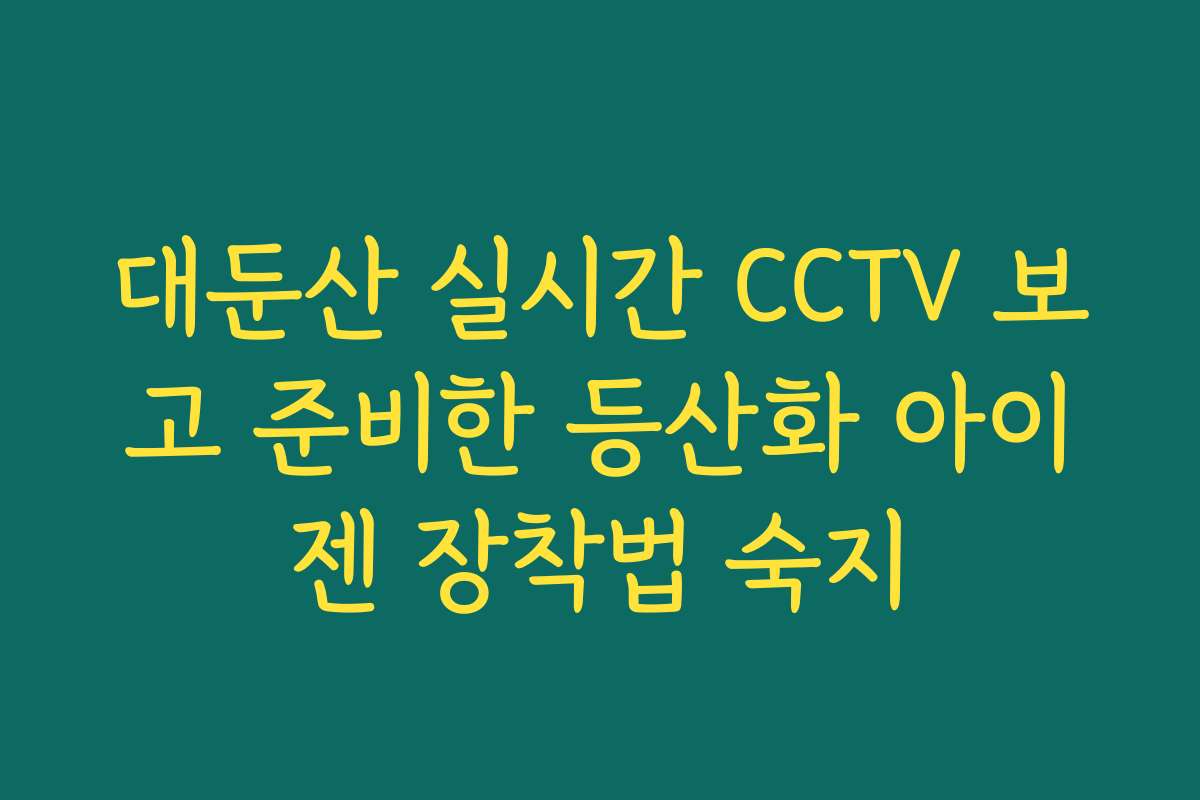 대둔산 실시간 CCTV 보고 준비한 등산화 아이젠 장착법 숙지