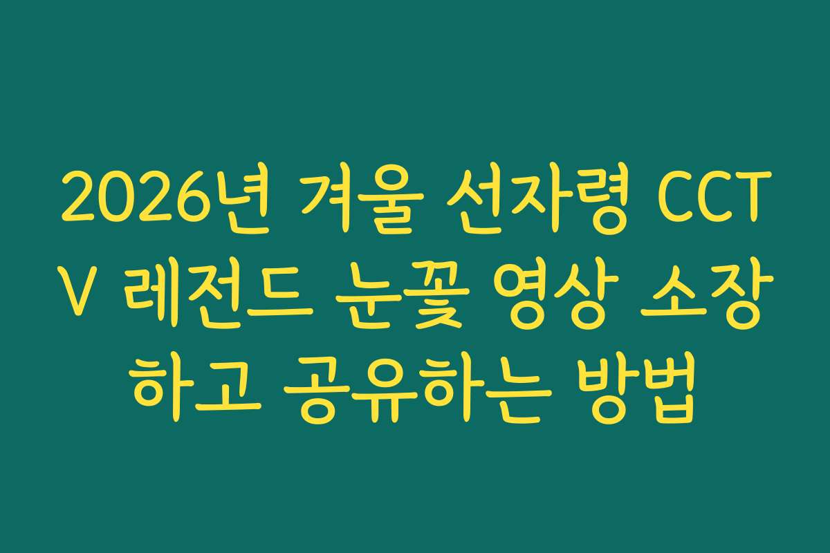 2026년 겨울 선자령 CCTV 레전드 눈꽃 영상 소장하고 공유하는 방법