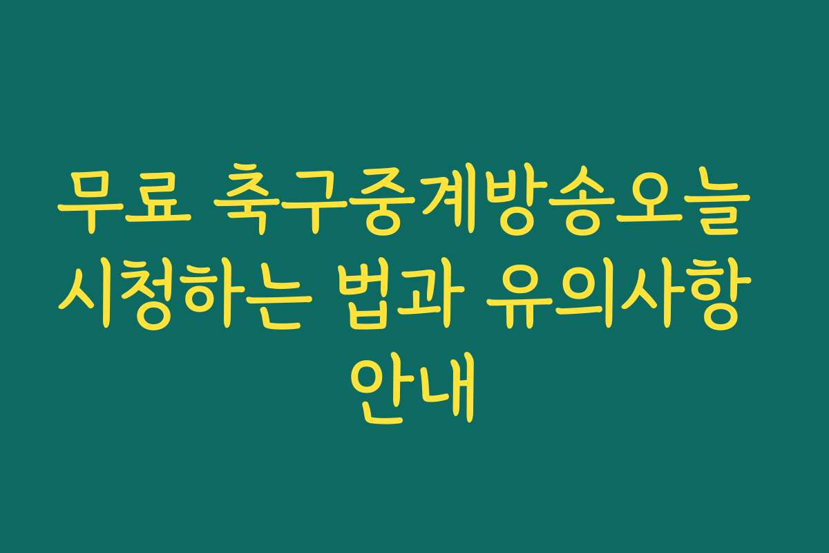 무료 축구중계방송오늘 시청하는 법과 유의사항 안내