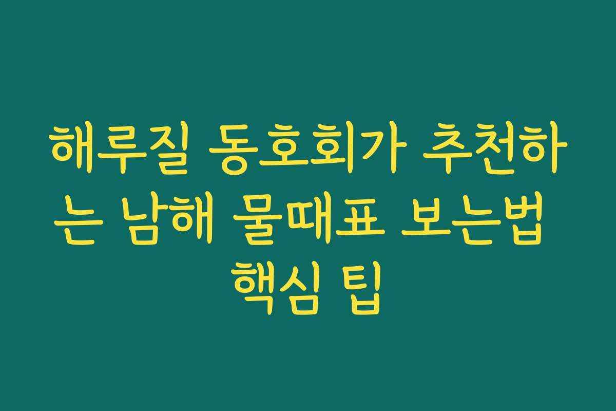 해루질 동호회가 추천하는 남해 물때표 보는법 핵심 팁