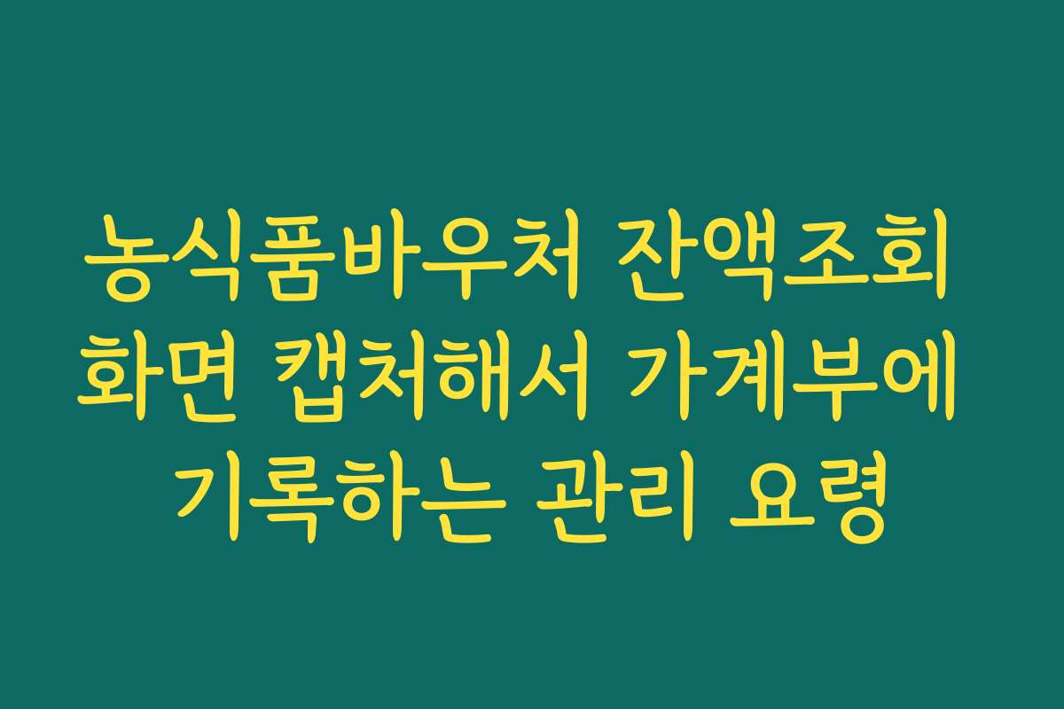 농식품바우처 잔액조회 화면 캡처해서 가계부에 기록하는 관리 요령