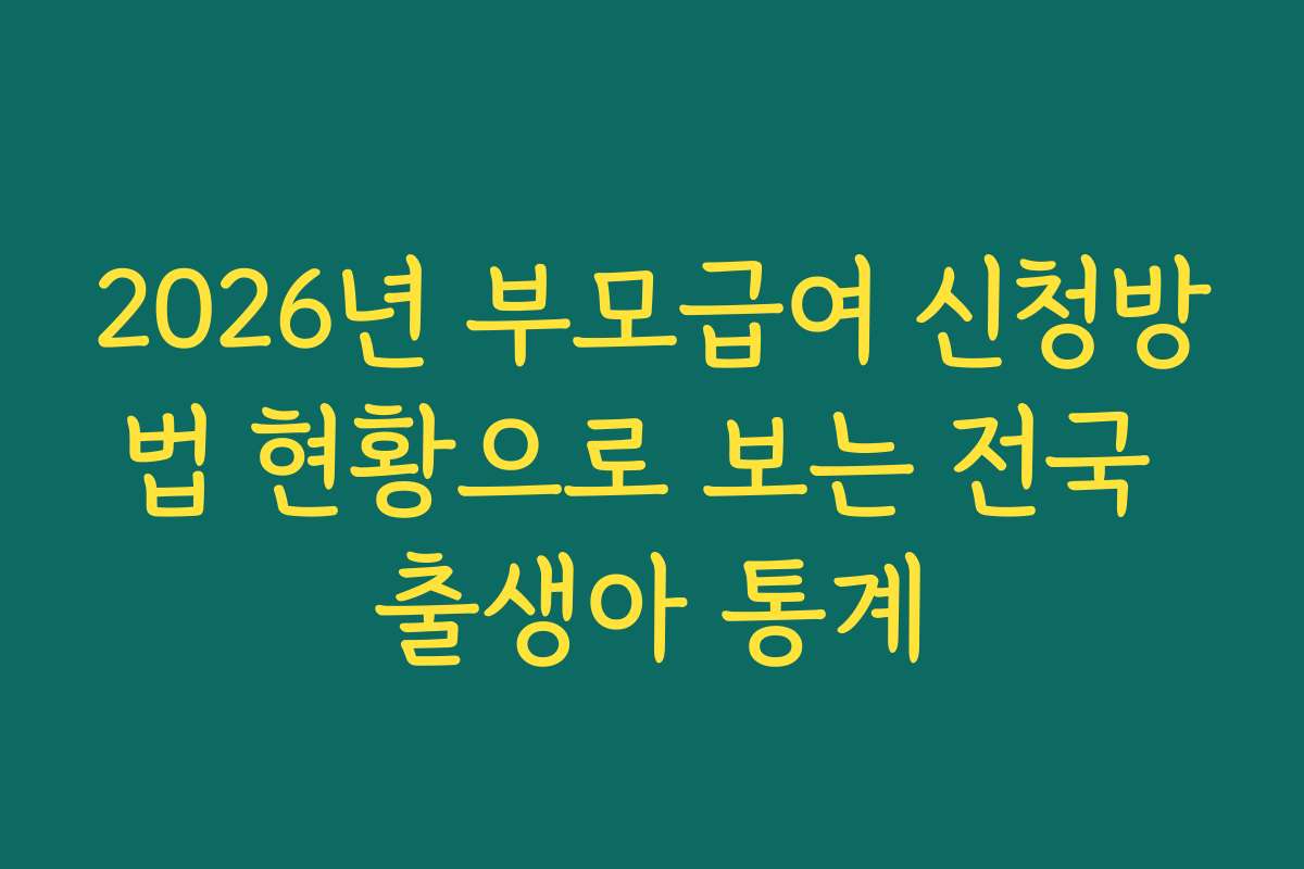 2026년 부모급여 신청방법 현황으로 보는 전국 출생아 통계