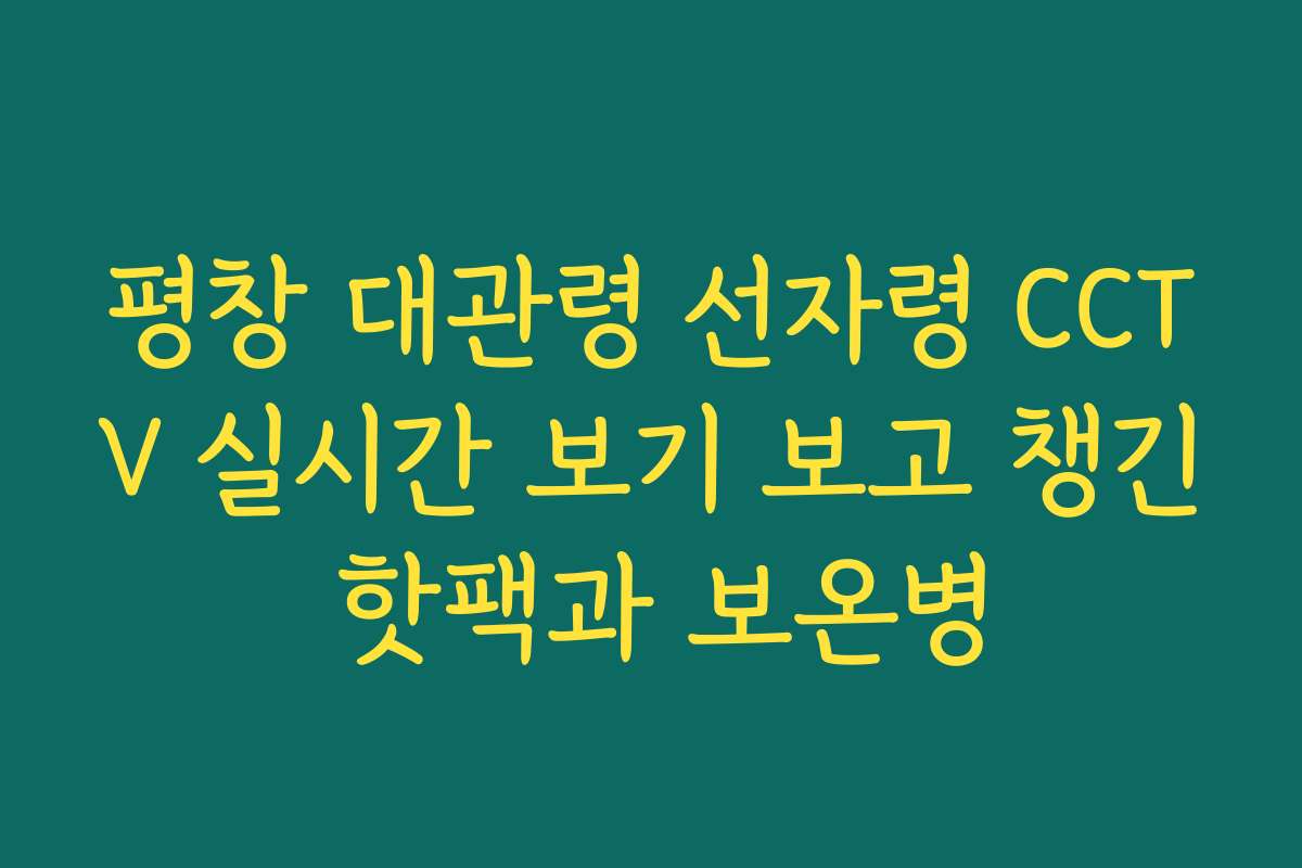평창 대관령 선자령 CCTV 실시간 보기 보고 챙긴 핫팩과 보온병