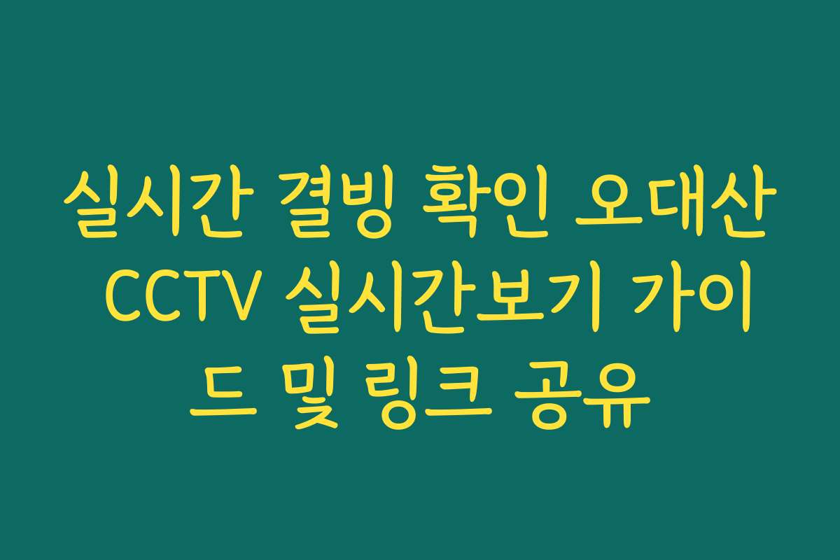 실시간 결빙 확인 오대산 CCTV 실시간보기 가이드 및 링크 공유