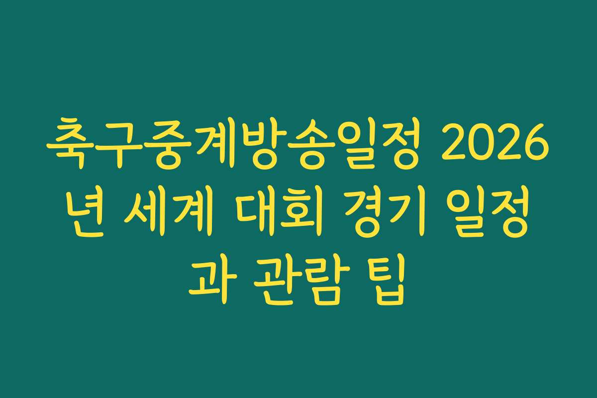 축구중계방송일정 2026년 세계 대회 경기 일정과 관람 팁