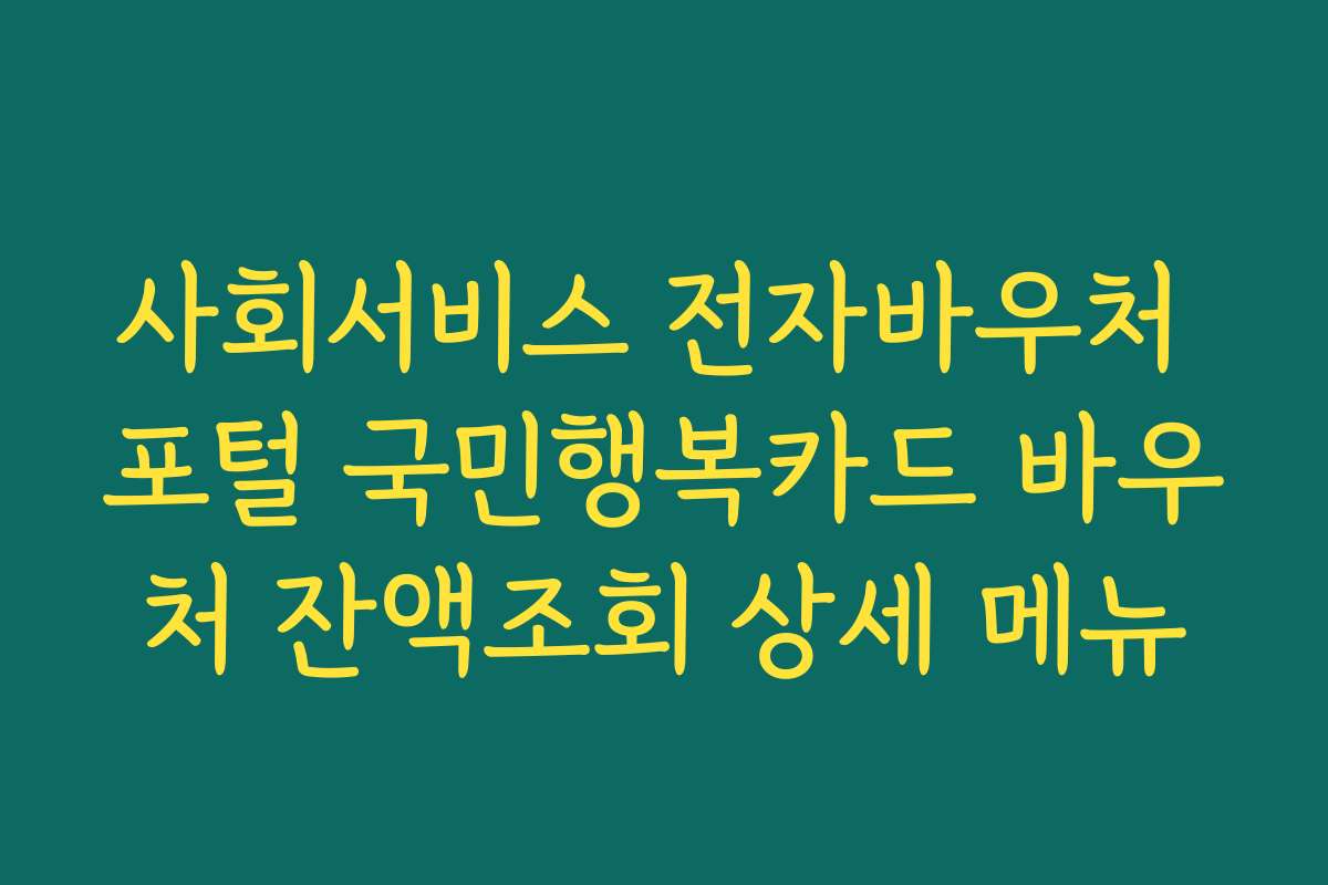 사회서비스 전자바우처 포털 국민행복카드 바우처 잔액조회 상세 메뉴