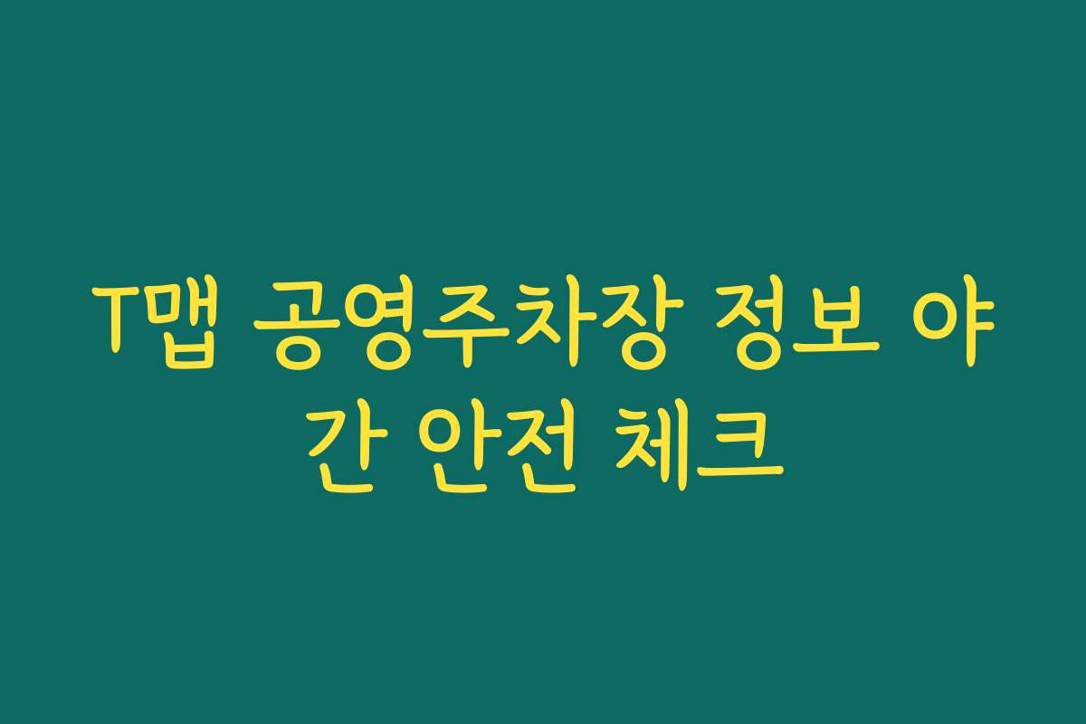 T맵 공영주차장 정보 야간 안전 체크