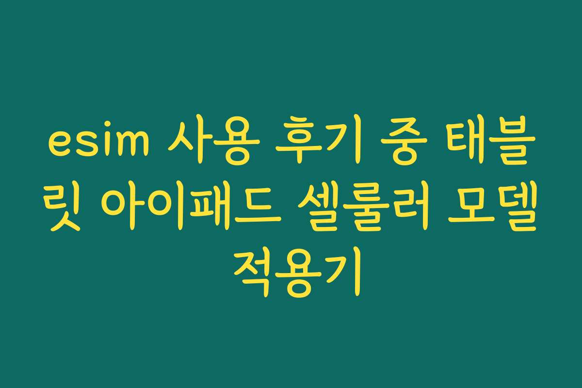 esim 사용 후기 중 태블릿 아이패드 셀룰러 모델 적용기