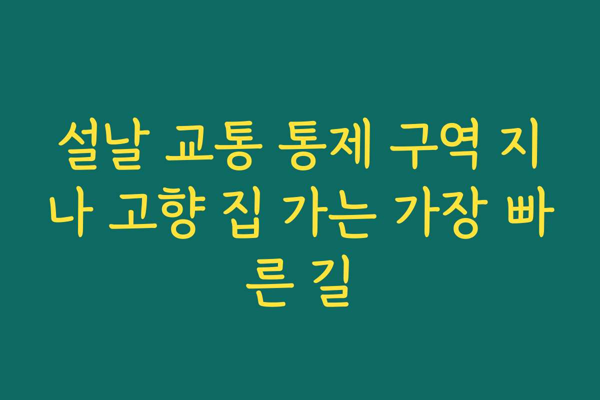 설날 교통 통제 구역 지나 고향 집 가는 가장 빠른 길