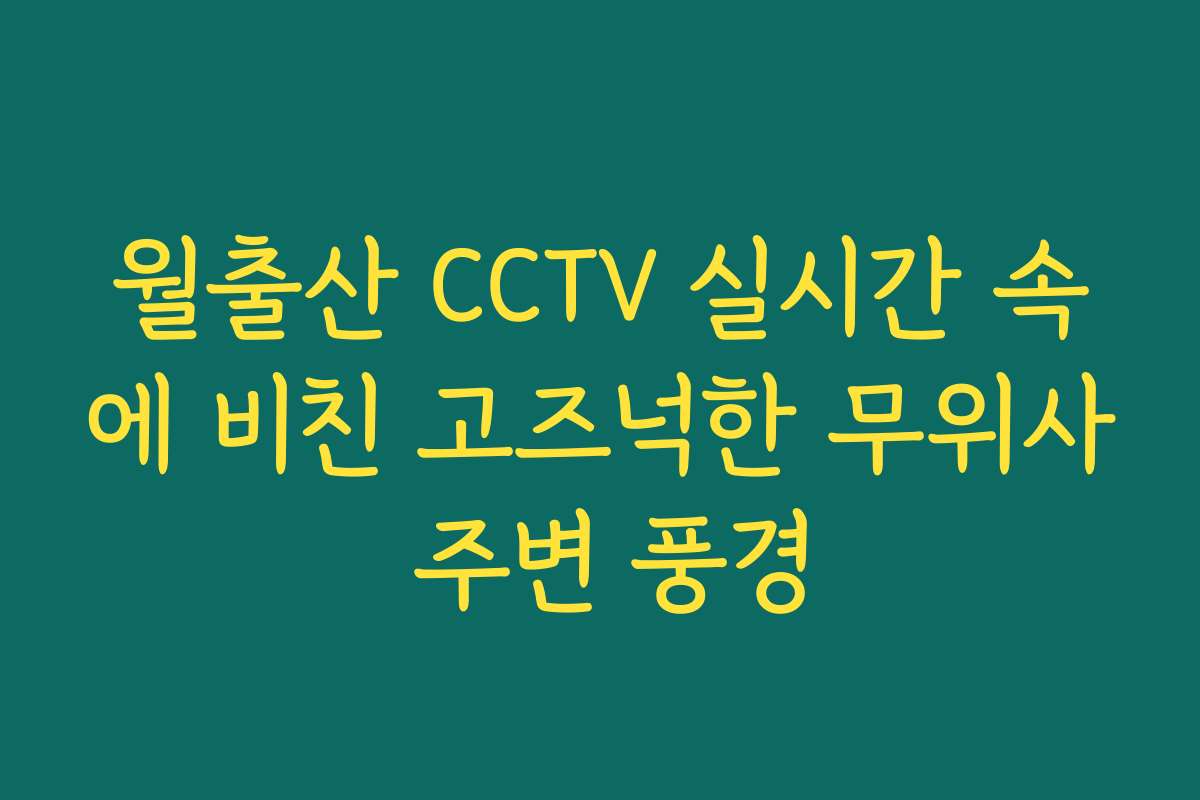 월출산 CCTV 실시간 속에 비친 고즈넉한 무위사 주변 풍경