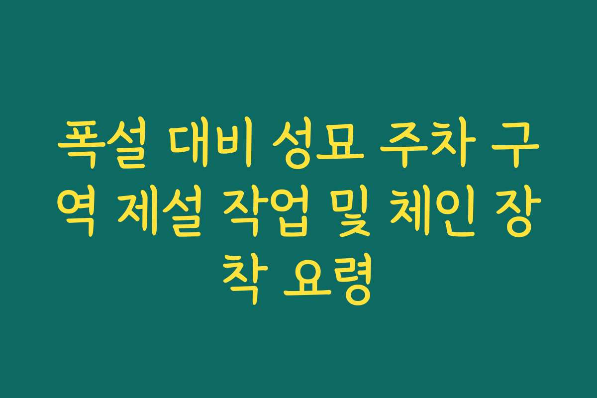 폭설 대비 성묘 주차 구역 제설 작업 및 체인 장착 요령