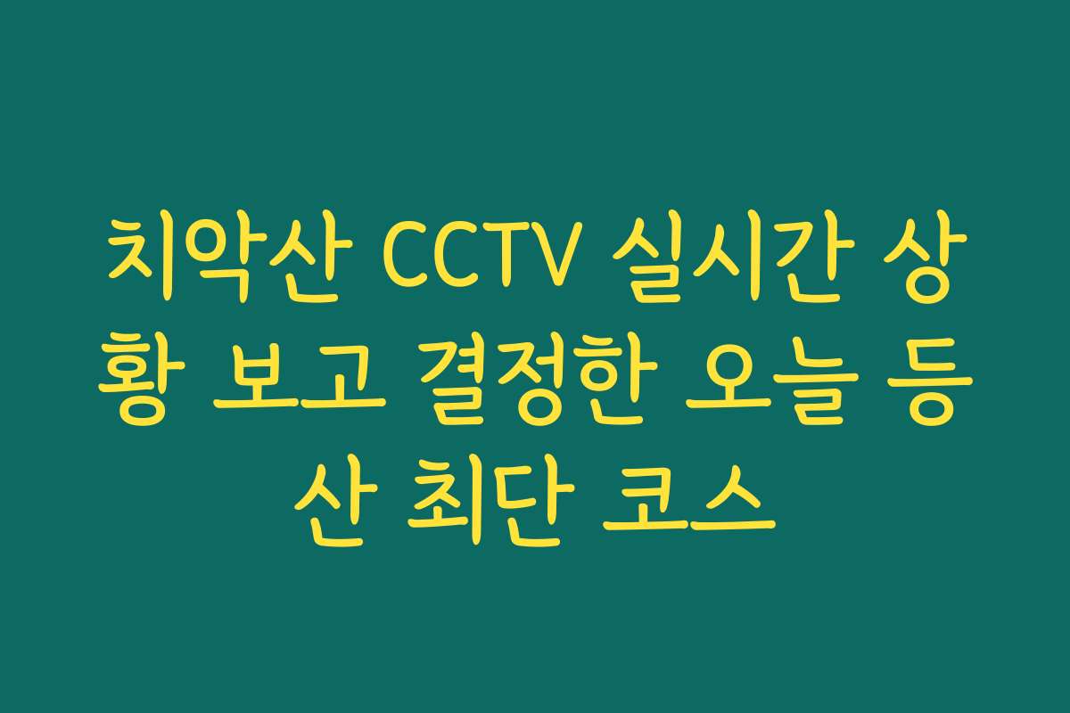 치악산 CCTV 실시간 상황 보고 결정한 오늘 등산 최단 코스