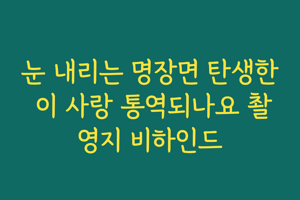 눈 내리는 명장면 탄생한 이 사랑 통역되나요 촬영지 비하인드