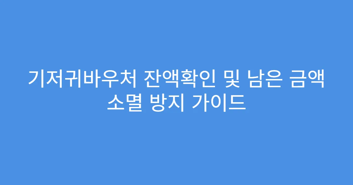 기저귀바우처 잔액확인 및 남은 금액 소멸 방지 가이드