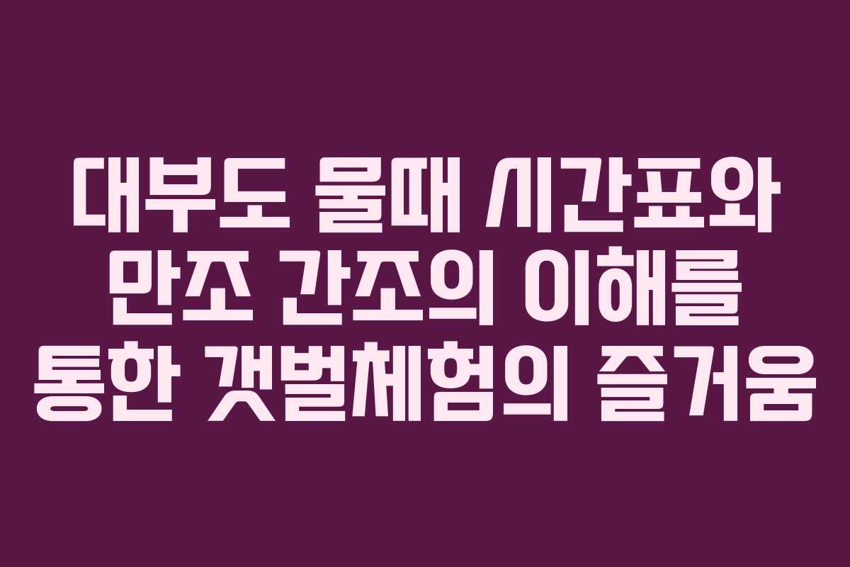 대부도 물때 시간표와 만조 간조의 이해를 통한 갯벌체험의 즐거움