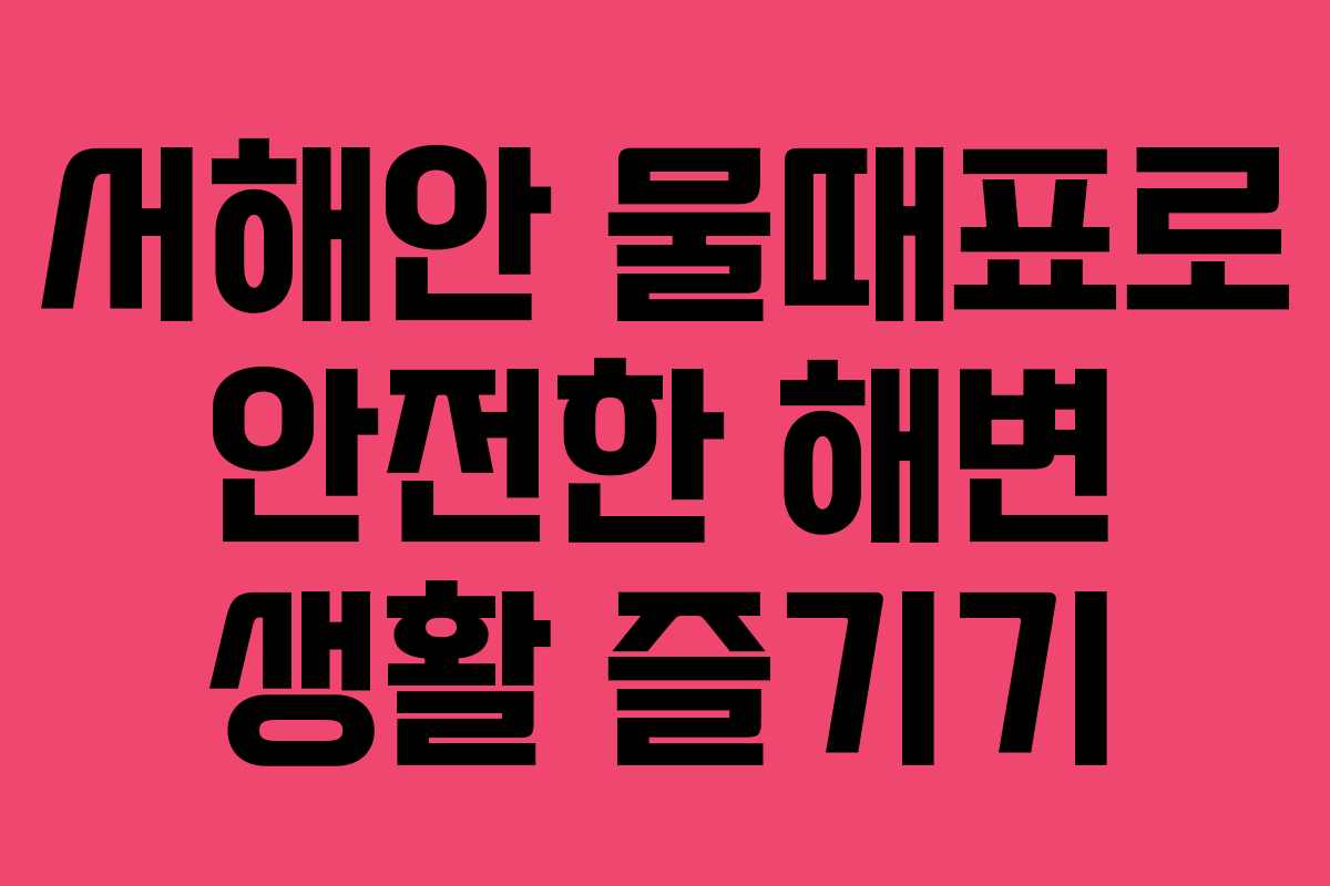 서해안 물때표로 안전한 해변 생활 즐기기