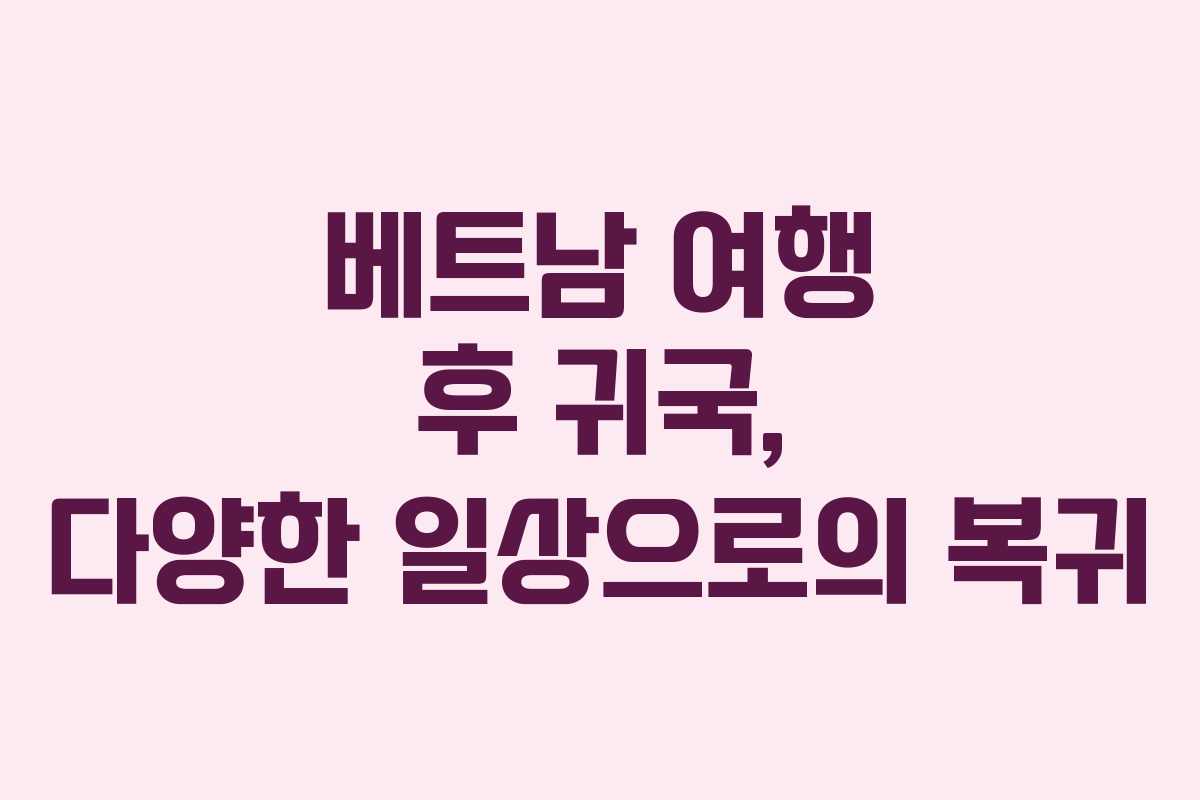 베트남 여행 후 귀국, 다양한 일상으로의 복귀