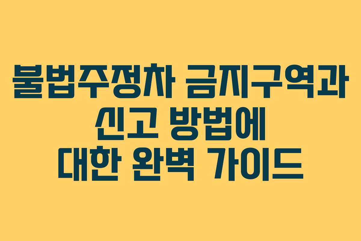 불법주정차 금지구역과 신고 방법에 대한 완벽 가이드