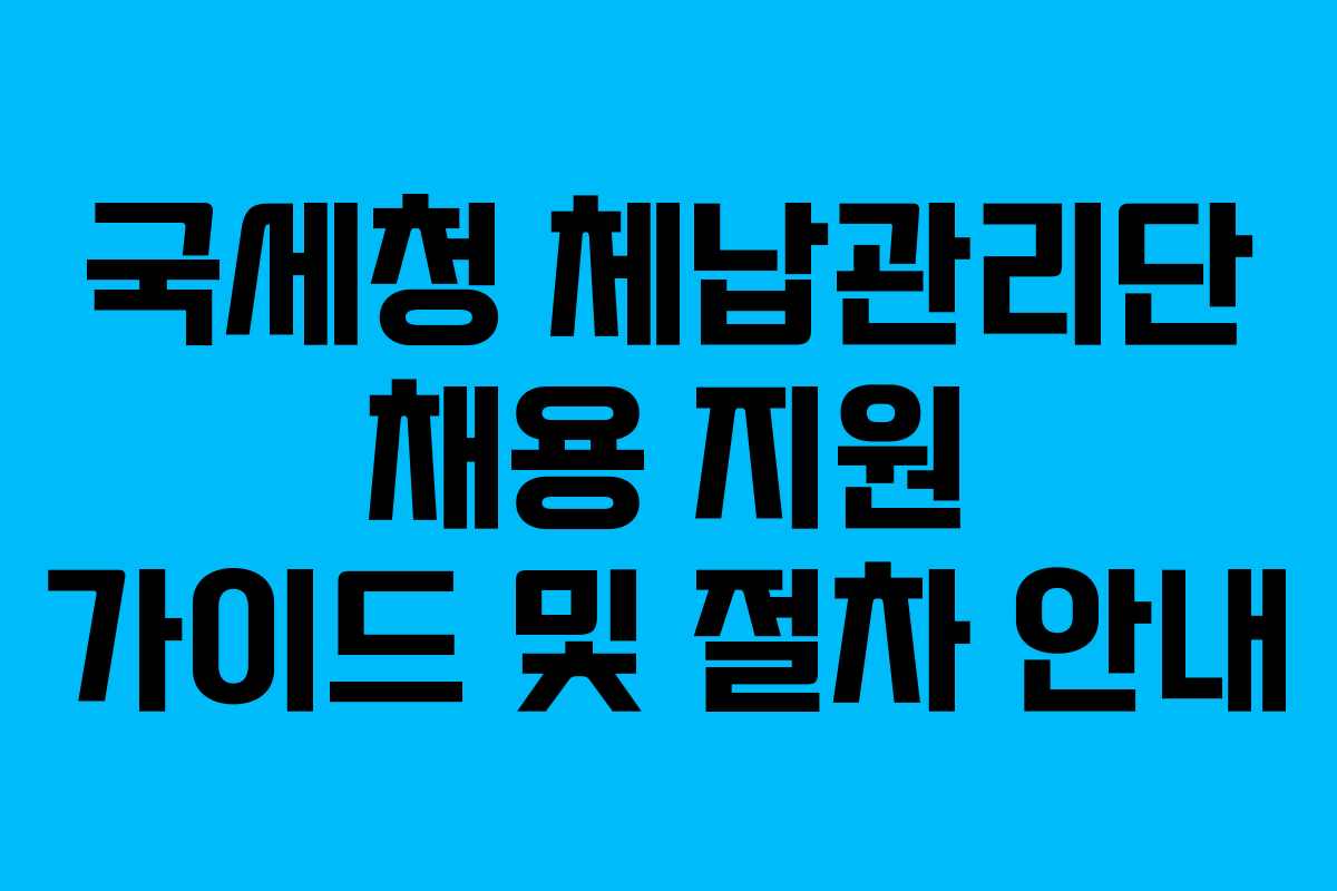 국세청 체납관리단 채용 지원 가이드 및 절차 안내