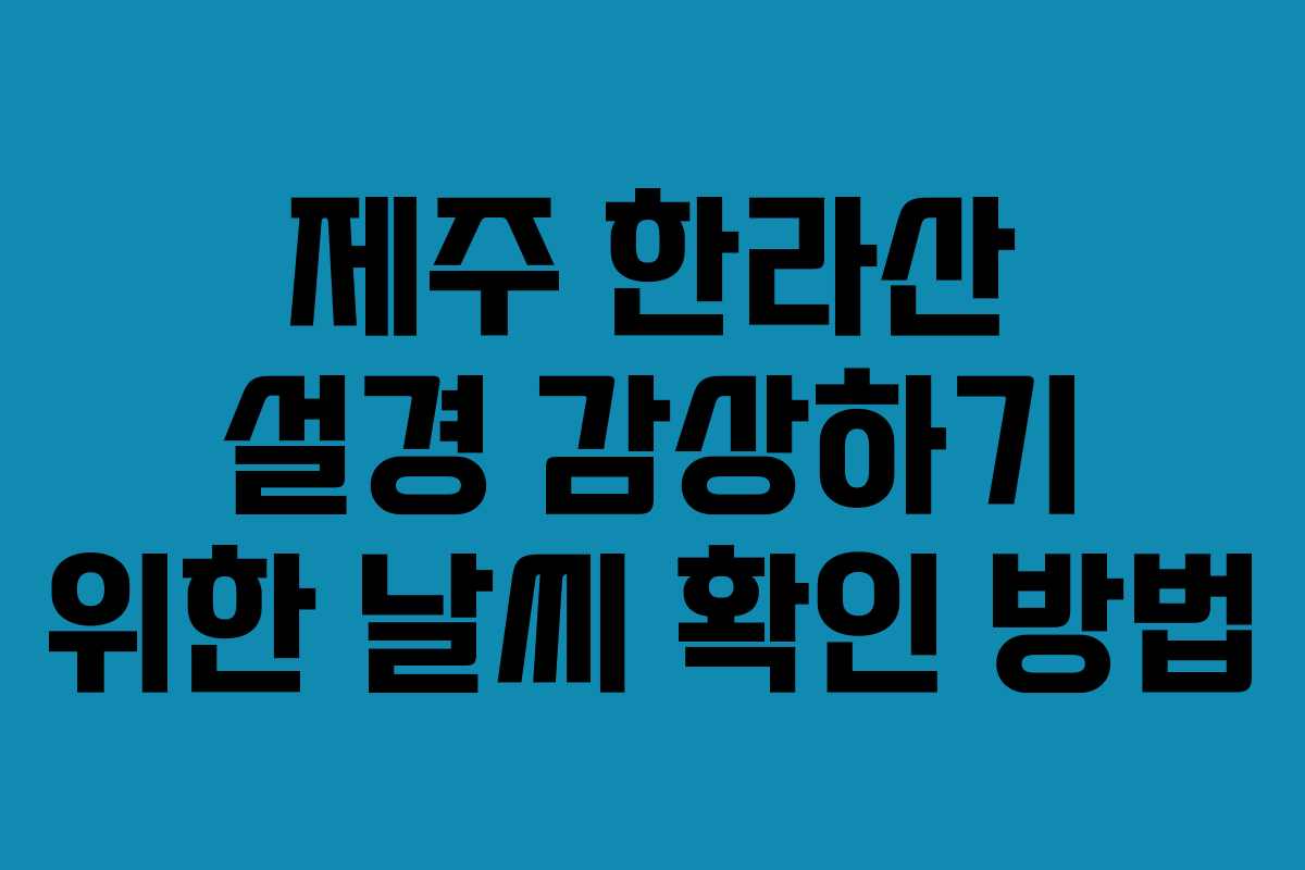 제주 한라산 설경 감상하기 위한 날씨 확인 방법