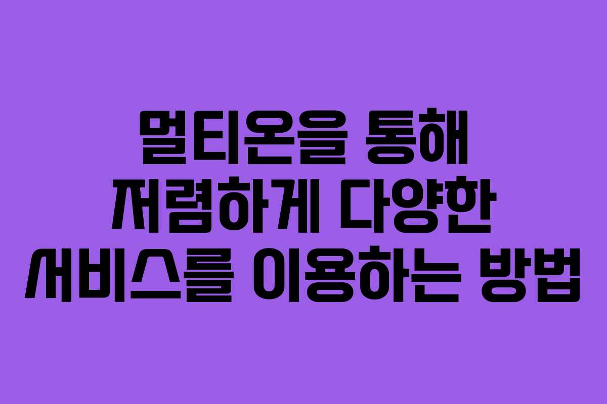 멀티온을 통해 저렴하게 다양한 서비스를 이용하는 방법