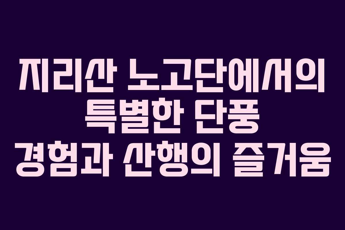 지리산 노고단에서의 특별한 단풍 경험과 산행의 즐거움