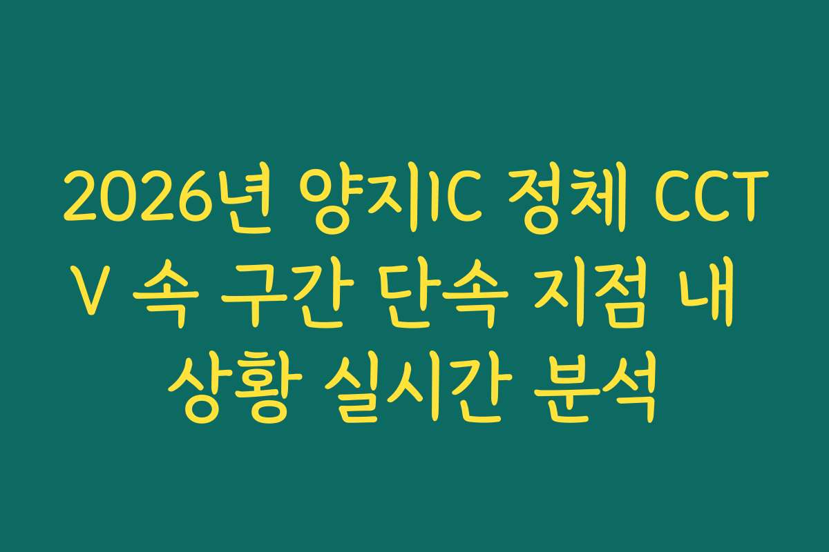 2026년 양지IC 정체 CCTV 속 구간 단속 지점 내 상황 실시간 분석