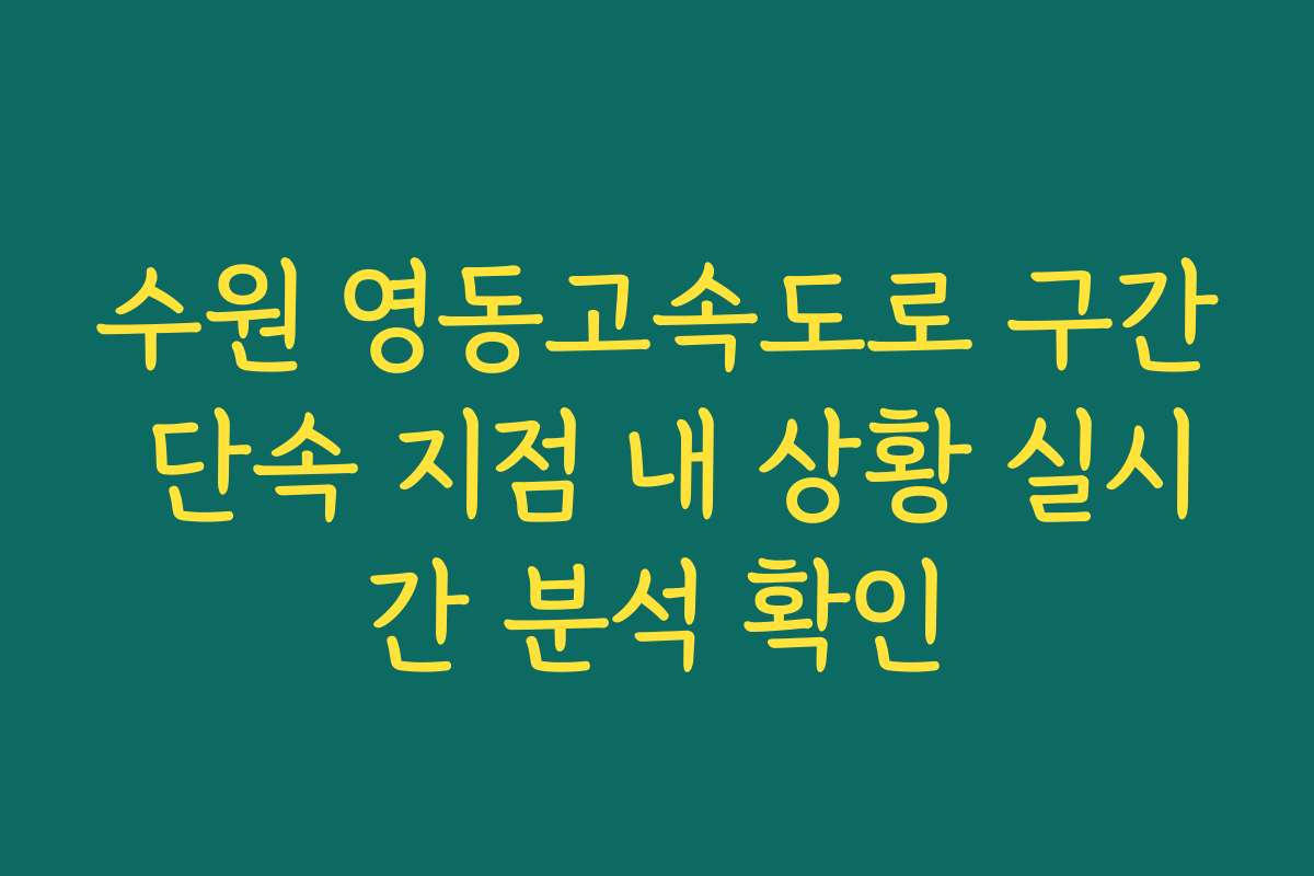 수원 영동고속도로 구간 단속 지점 내 상황 실시간 분석 확인