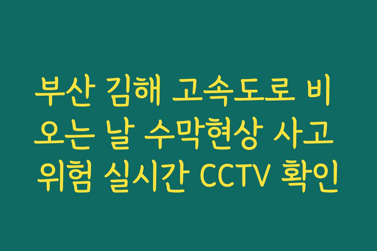부산 김해 고속도로 비 오는 날 수막현상 사고 위험 실시간 CCTV 확인
