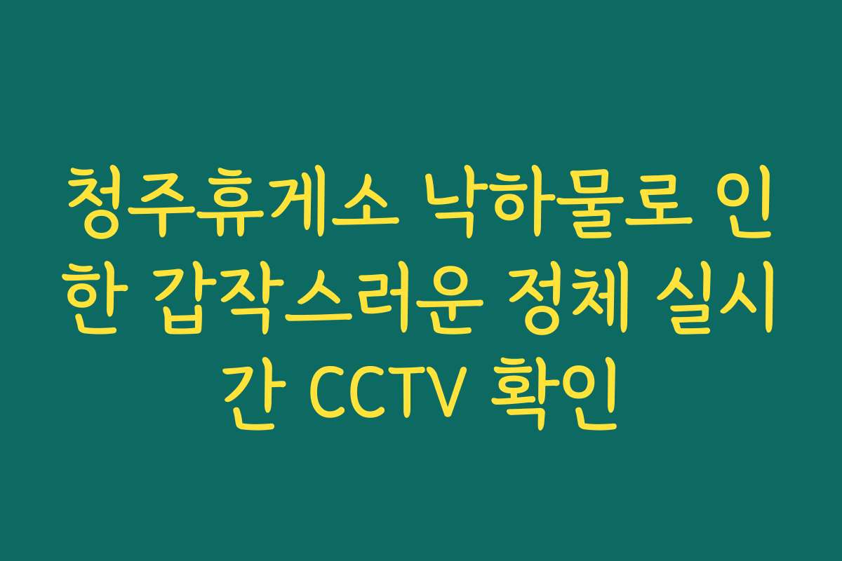 청주휴게소 낙하물로 인한 갑작스러운 정체 실시간 CCTV 확인