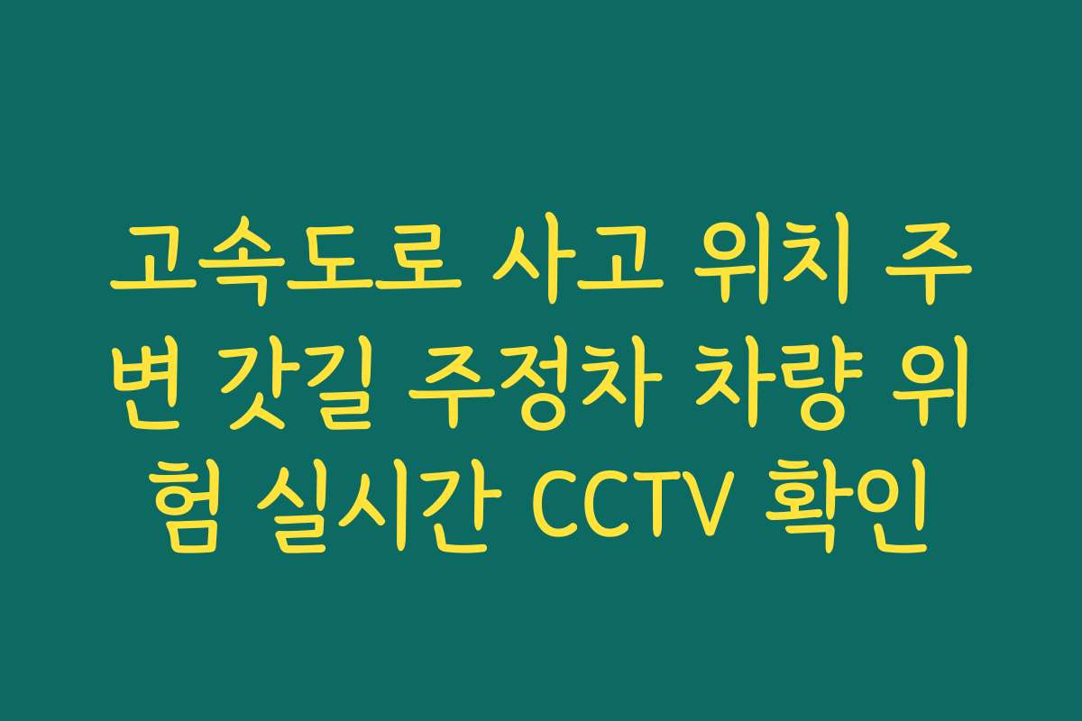 고속도로 사고 위치 주변 갓길 주정차 차량 위험 실시간 CCTV 확인