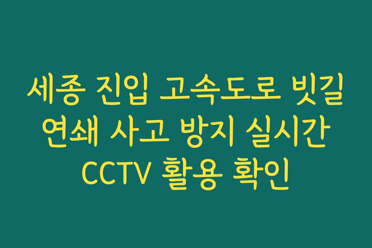 세종 진입 고속도로 빗길 연쇄 사고 방지 실시간 CCTV 활용 확인