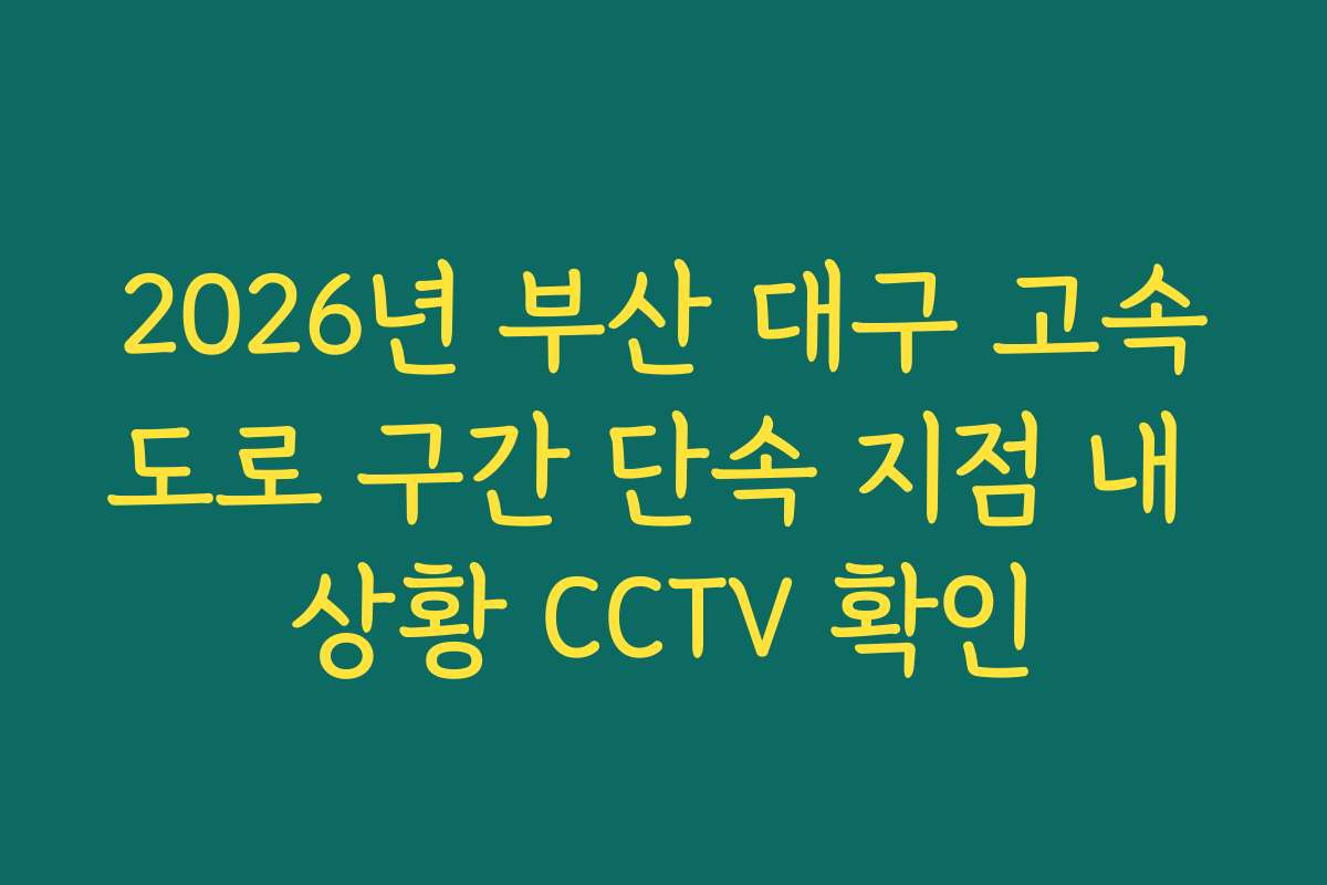 2026년 부산 대구 고속도로 구간 단속 지점 내 상황 CCTV 확인