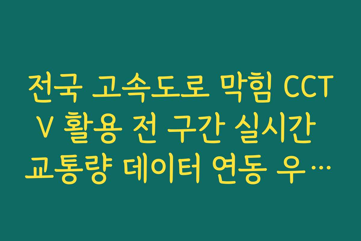 전국 고속도로 막힘 CCTV 활용 전 구간 실시간 교통량 데이터 연동 우회 분석