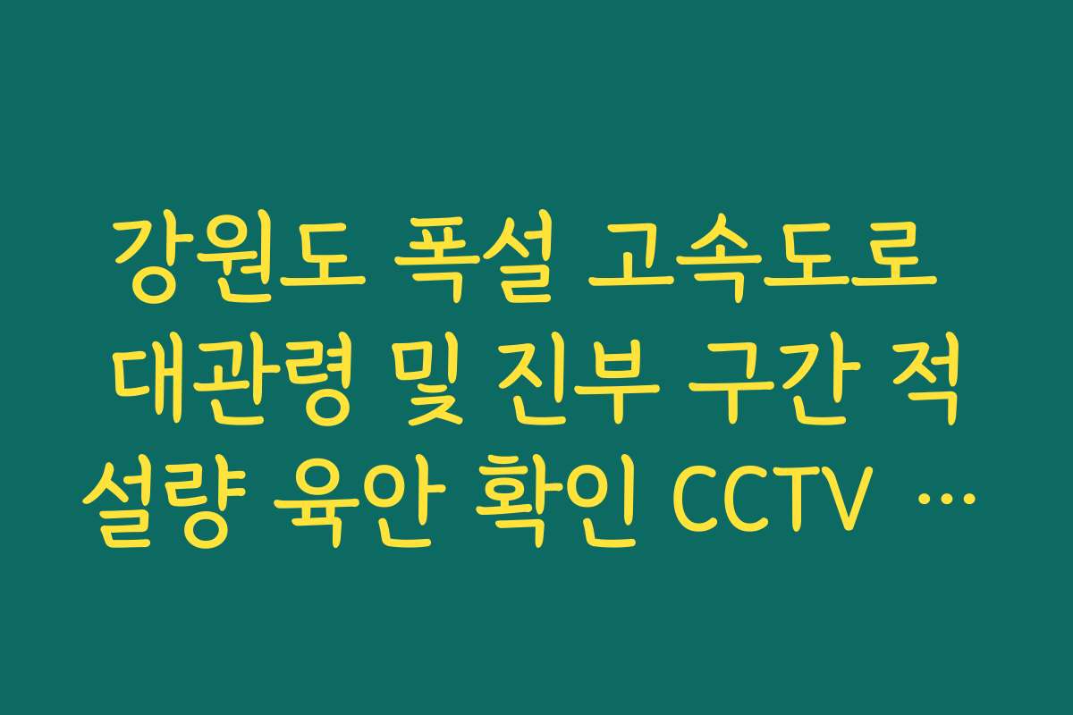 강원도 폭설 고속도로 대관령 및 진부 구간 적설량 육안 확인 CCTV 조회법