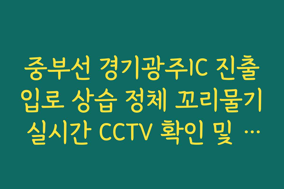 중부선 경기광주IC 진출입로 상습 정체 꼬리물기 실시간 CCTV 확인 및 소통법 가이드