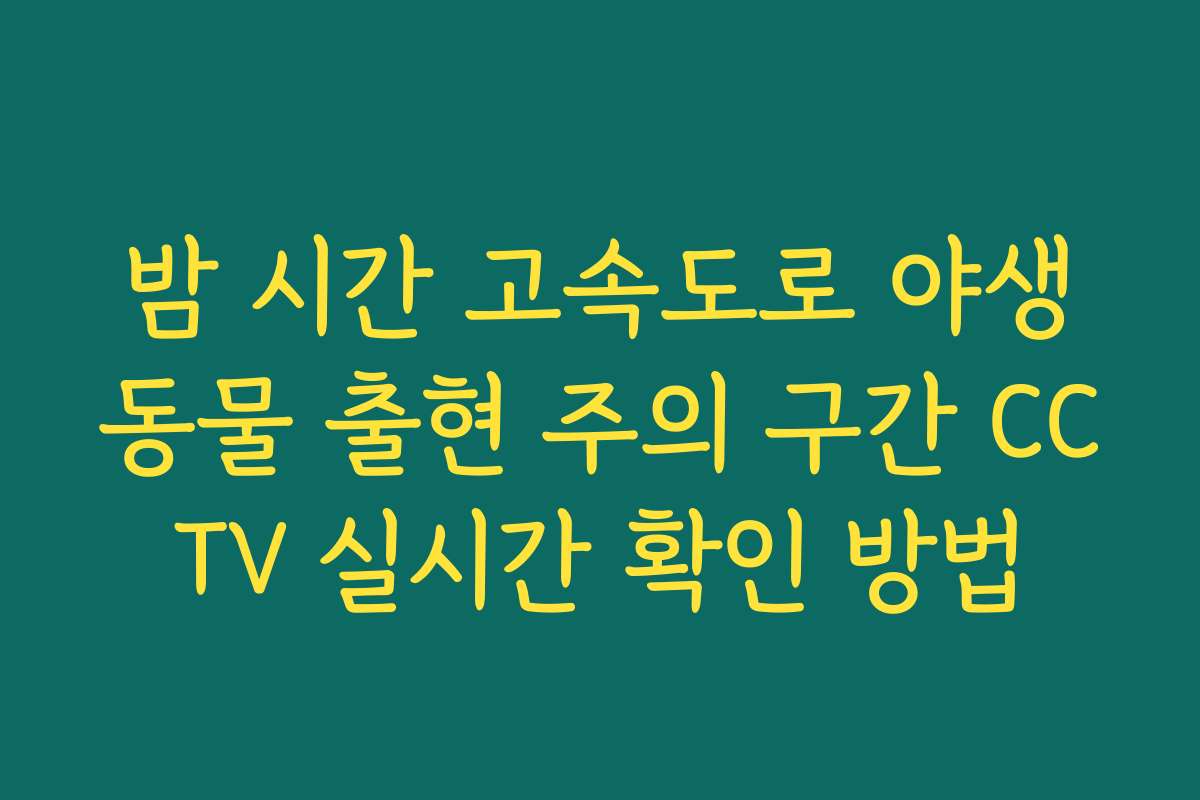 밤 시간 고속도로 야생동물 출현 주의 구간 CCTV 실시간 확인 방법