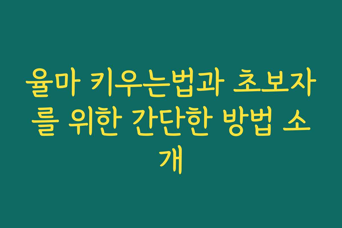 율마 키우는법과 초보자를 위한 간단한 방법 소개