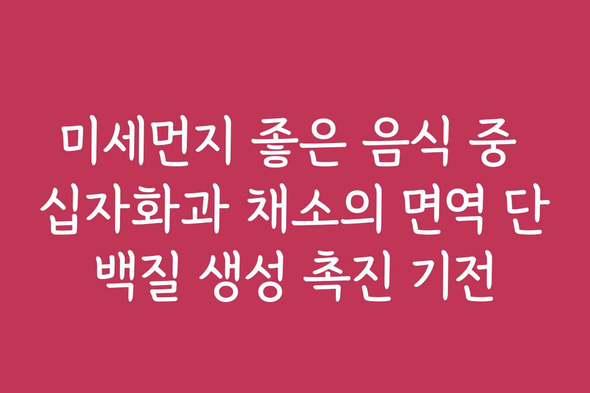 미세먼지 좋은 음식 중 십자화과 채소의 면역 단백질 생성 촉진 기전