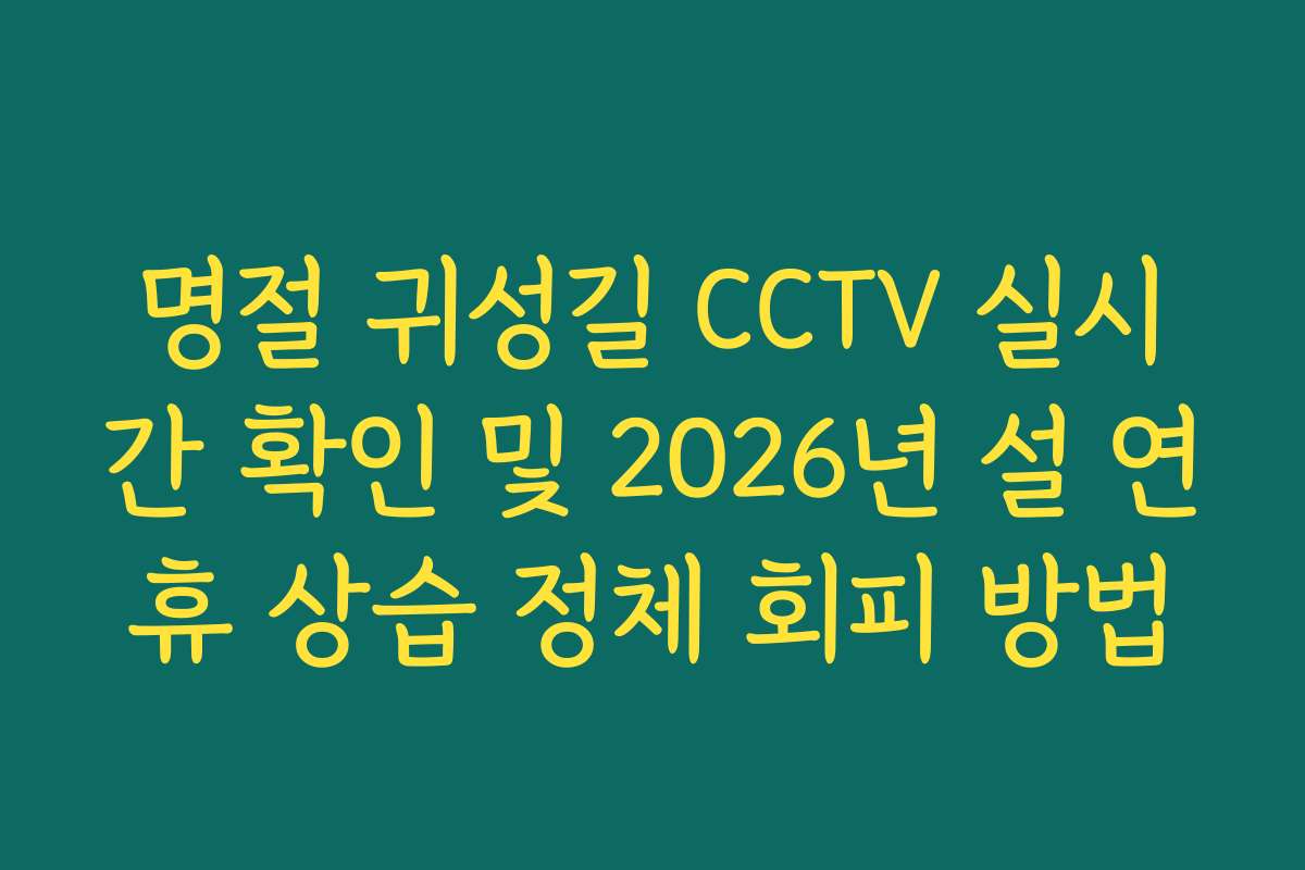 명절 귀성길 CCTV 실시간 확인 및 2026년 설 연휴 상습 정체 회피 방법
