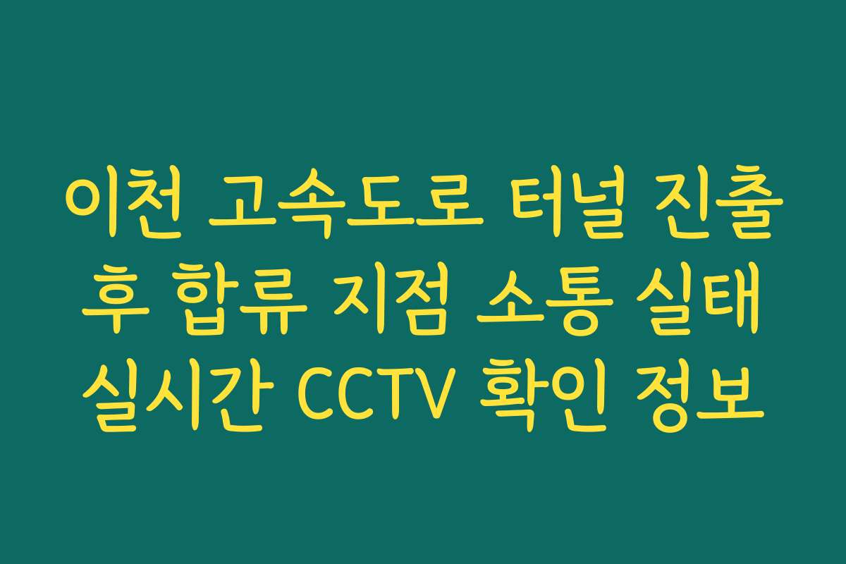 이천 고속도로 터널 진출 후 합류 지점 소통 실태 실시간 CCTV 확인 정보