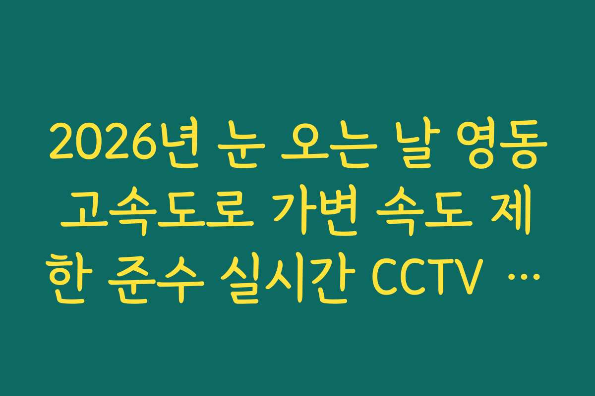 2026년 눈 오는 날 영동고속도로 가변 속도 제한 준수 실시간 CCTV 확인