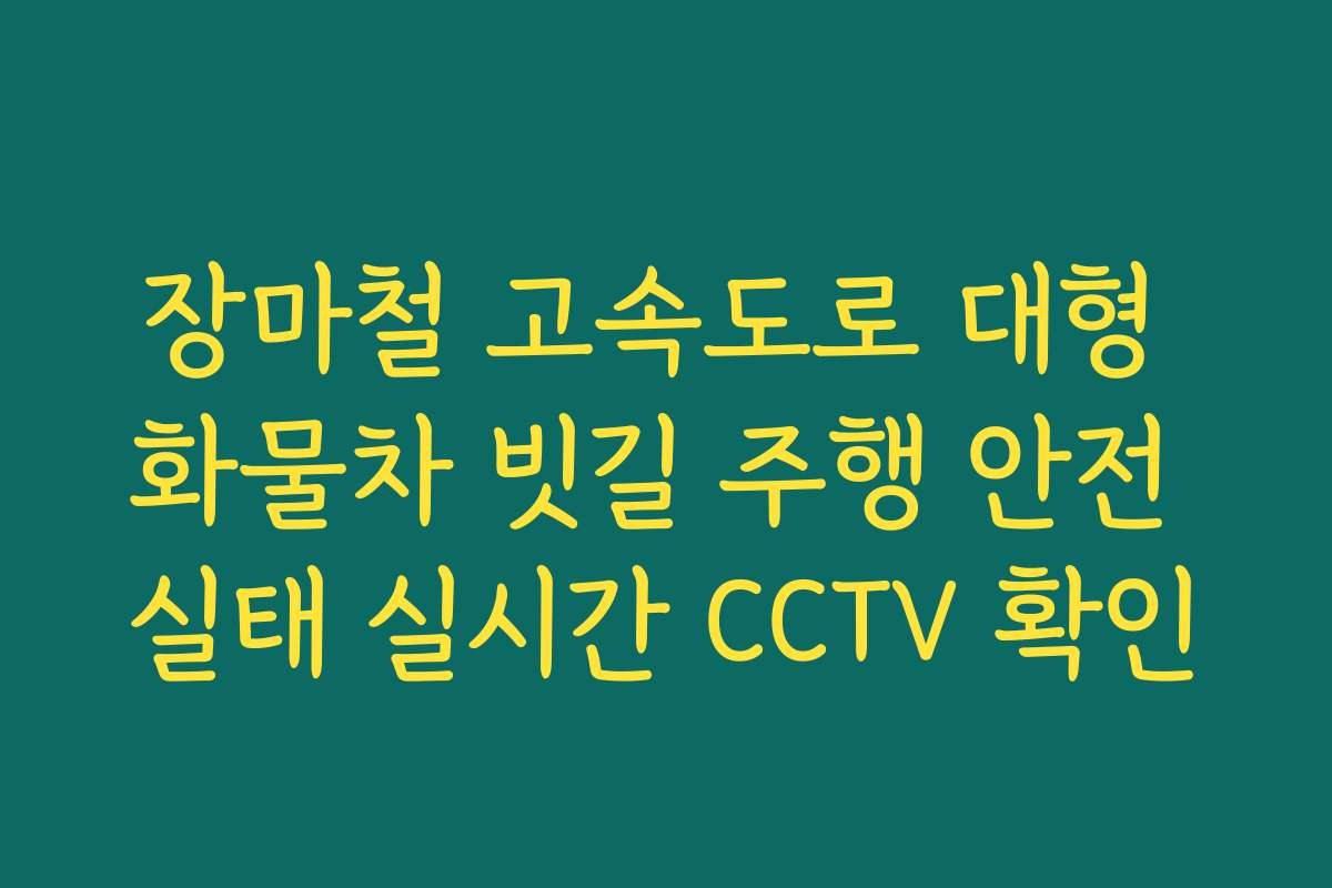 장마철 고속도로 대형 화물차 빗길 주행 안전 실태 실시간 CCTV 확인