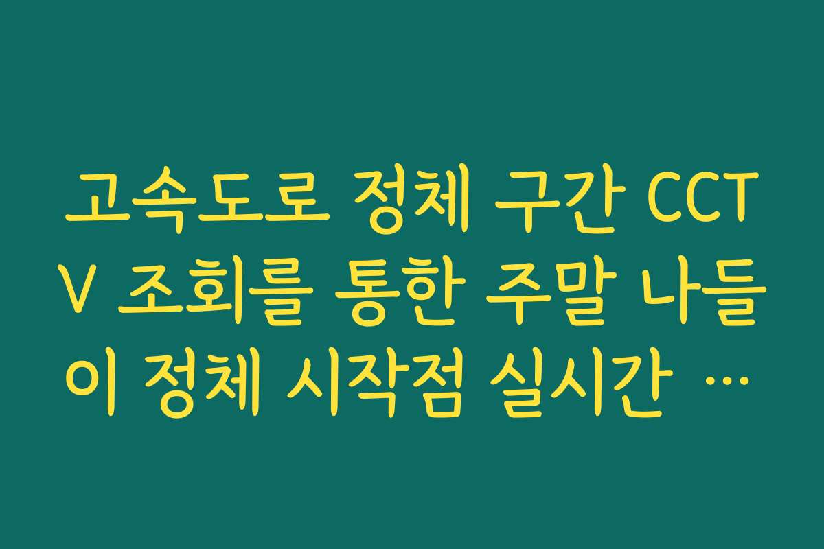 고속도로 정체 구간 CCTV 조회를 통한 주말 나들이 정체 시작점 실시간 가이드
