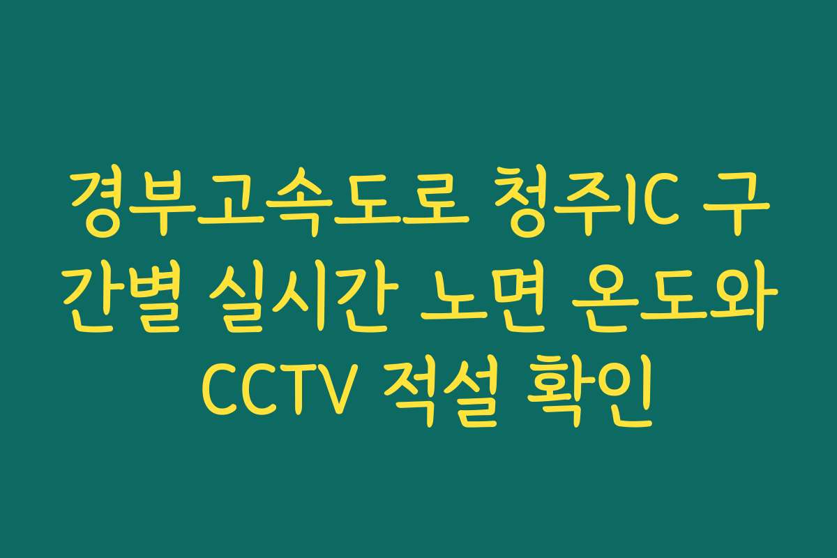 경부고속도로 청주IC 구간별 실시간 노면 온도와 CCTV 적설 확인