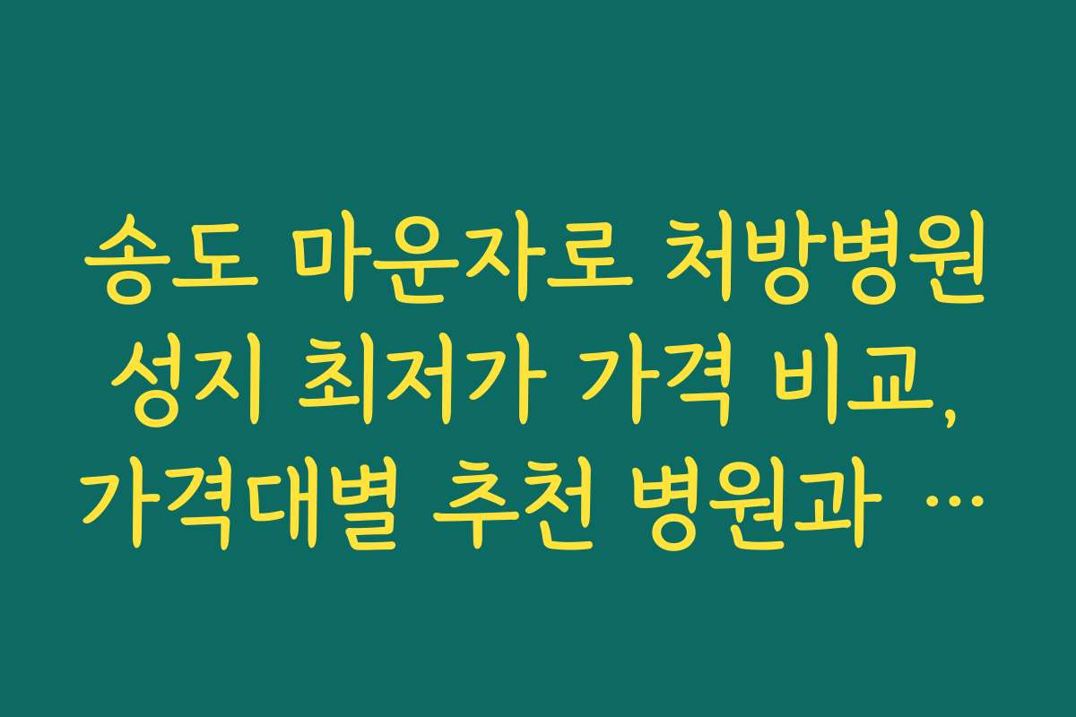 송도 마운자로 처방병원 성지 최저가 가격 비교, 가격대별 추천 병원과 선택 포인트