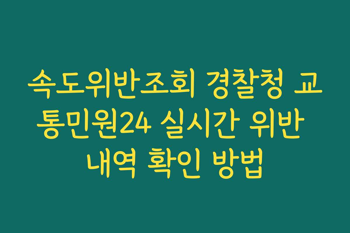 속도위반조회 경찰청 교통민원24 실시간 위반 내역 확인 방법