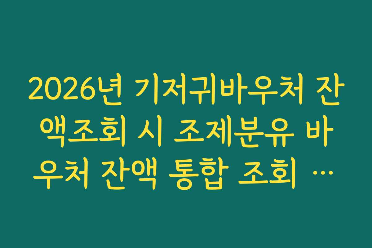 2026년 기저귀바우처 잔액조회 시 조제분유 바우처 잔액 통합 조회 가능 여부
