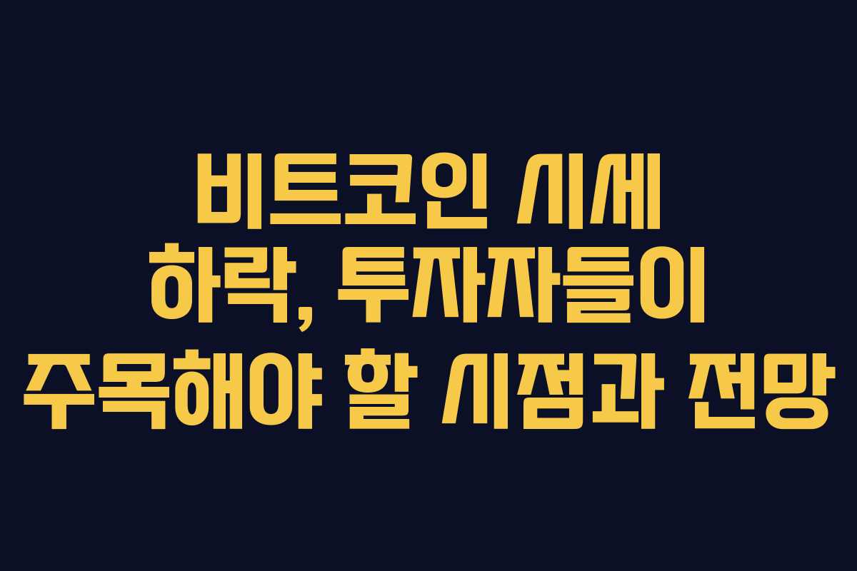 비트코인 시세 하락, 투자자들이 주목해야 할 시점과 전망