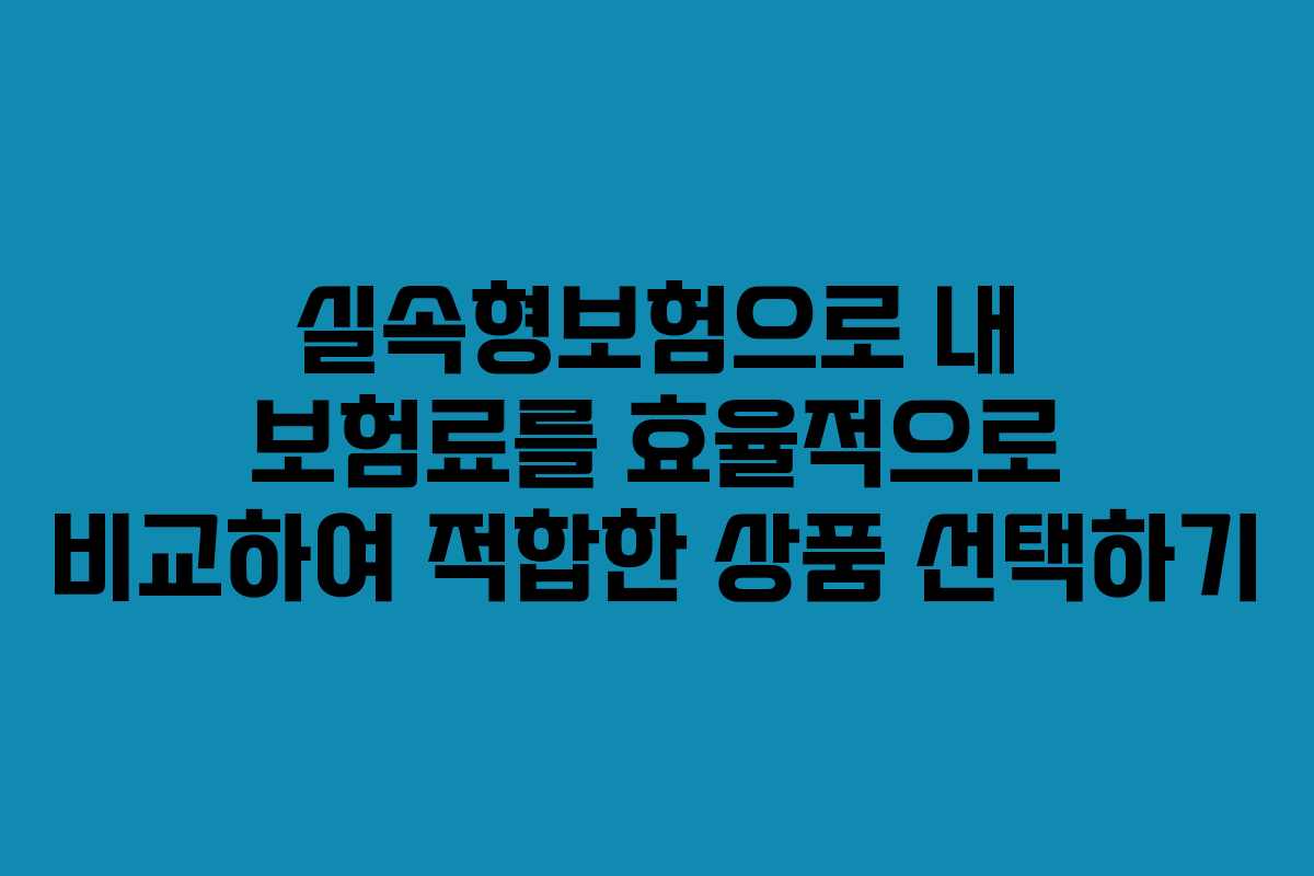 실속형보험으로 내 보험료를 효율적으로 비교하여 적합한 상품 선택하기